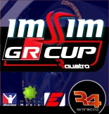 ImSim GR Cup